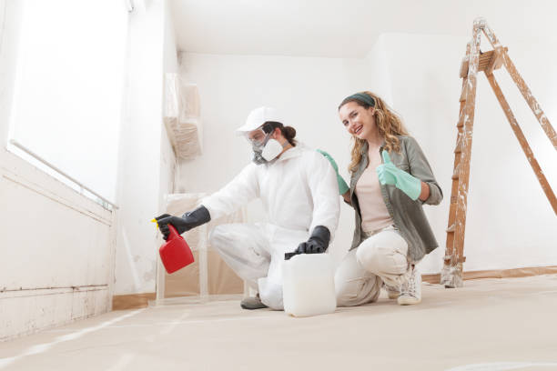 Mold Documentation for Insurance Claims in Gunbarrel, CO